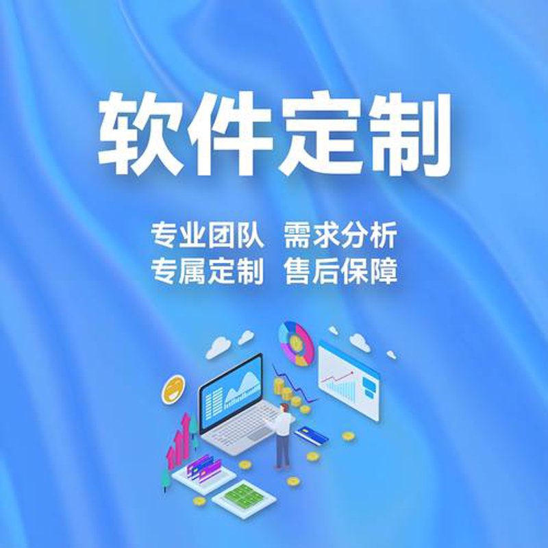 企业管理系统开发：选择与成长的桥梁