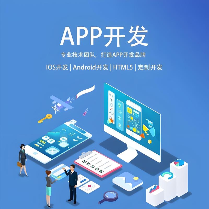 探寻专业软件开发的秘密：深圳的故事